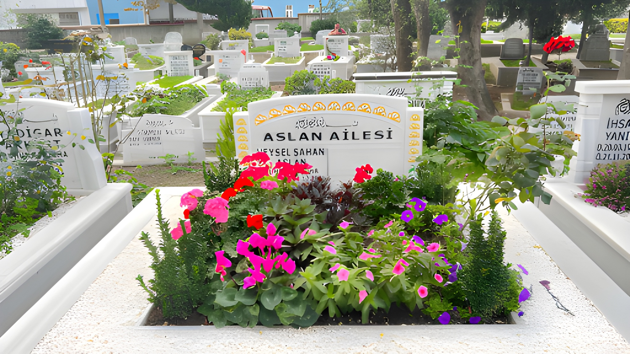 Hizmetlerimiz aslan ailesi2