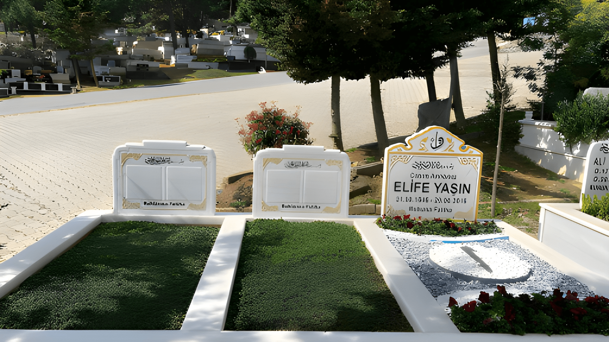 Hizmetlerimiz elife2