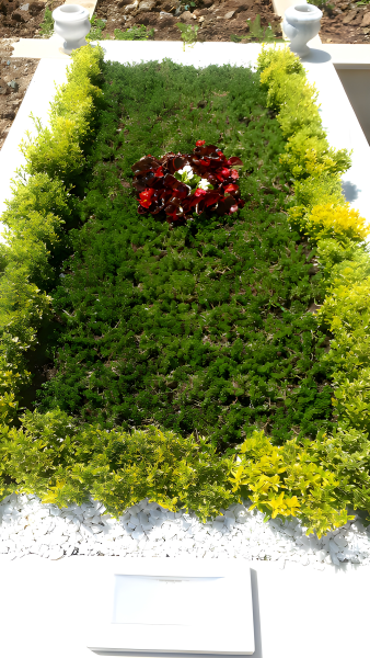 Anasayfa İsimsiz2.2