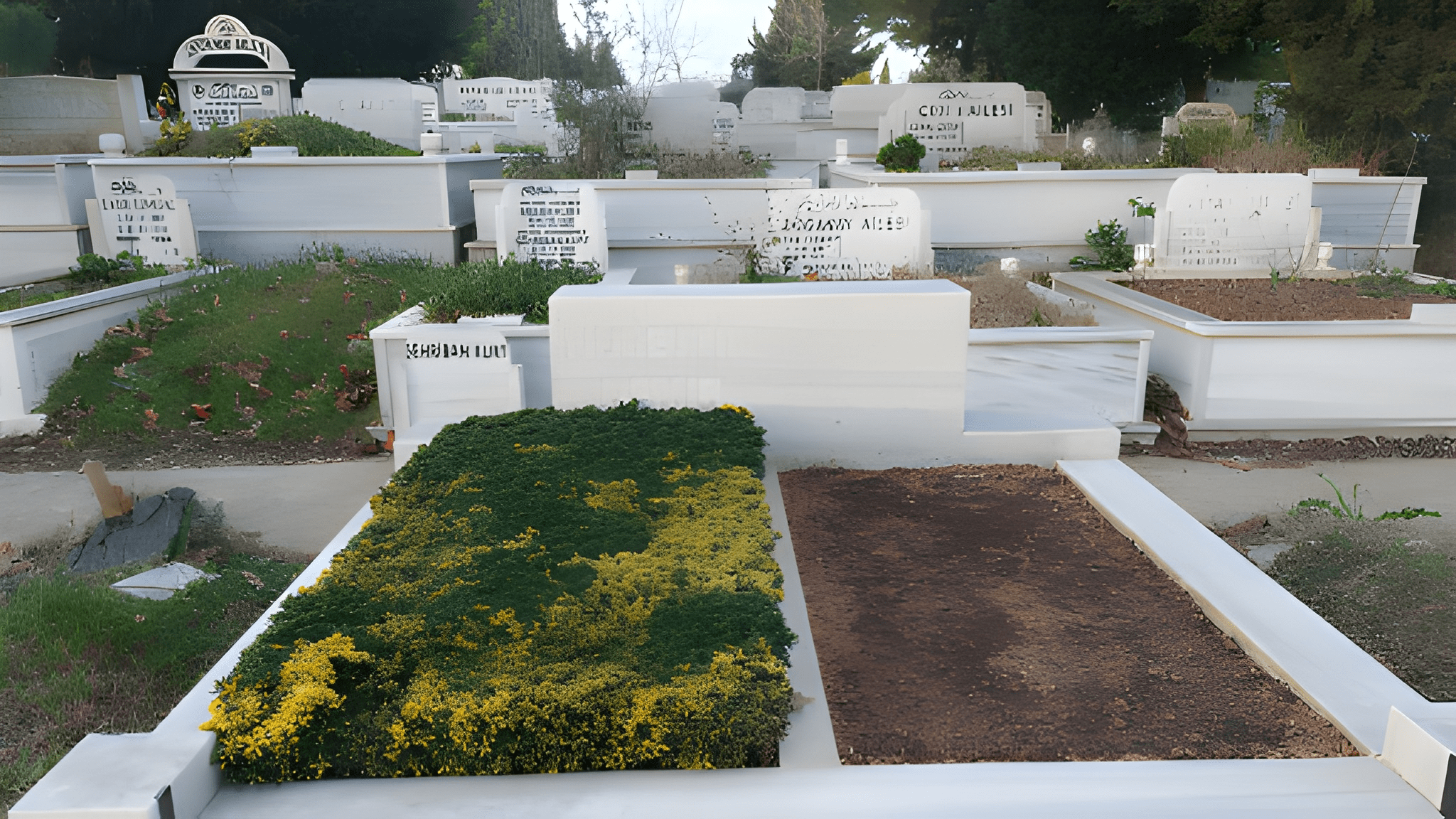 Hizmetlerimiz nurettin2