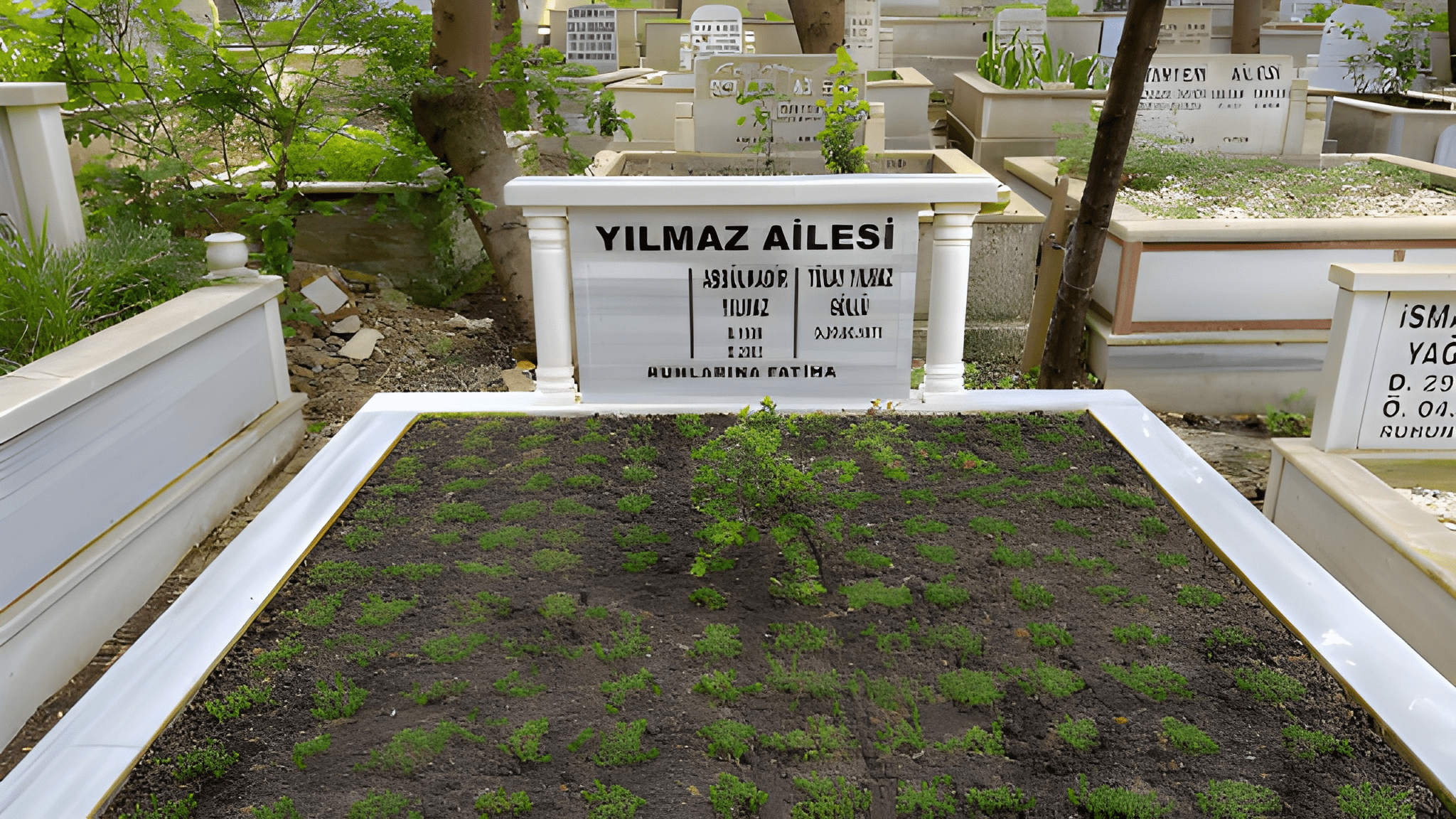 Hizmetlerimiz yılmaz2